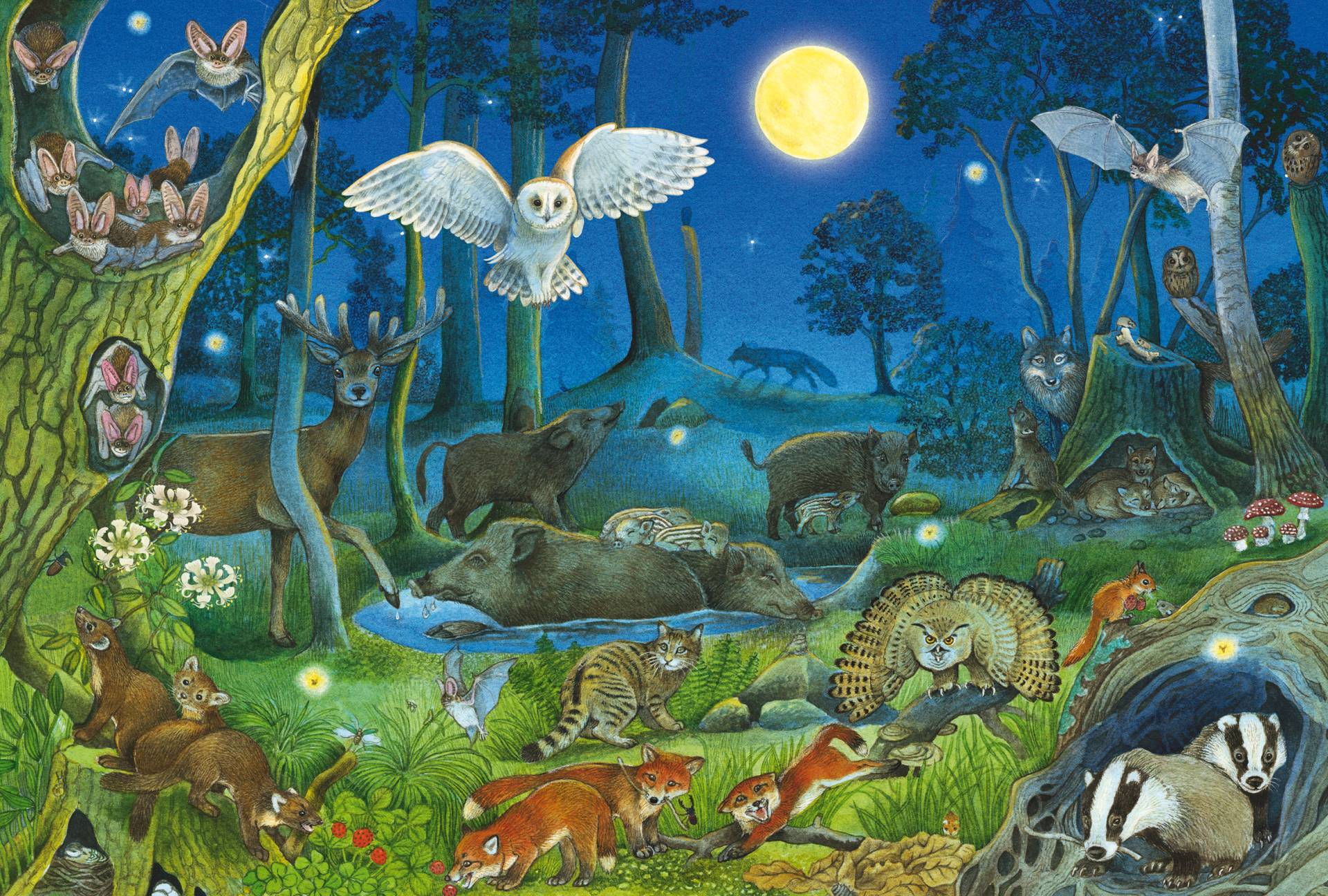 Schmidt Spiele Tiere Nachts im Wald 100 Teile Puzzle Schmidt-Spiele-56529 von Schmidt Spiele