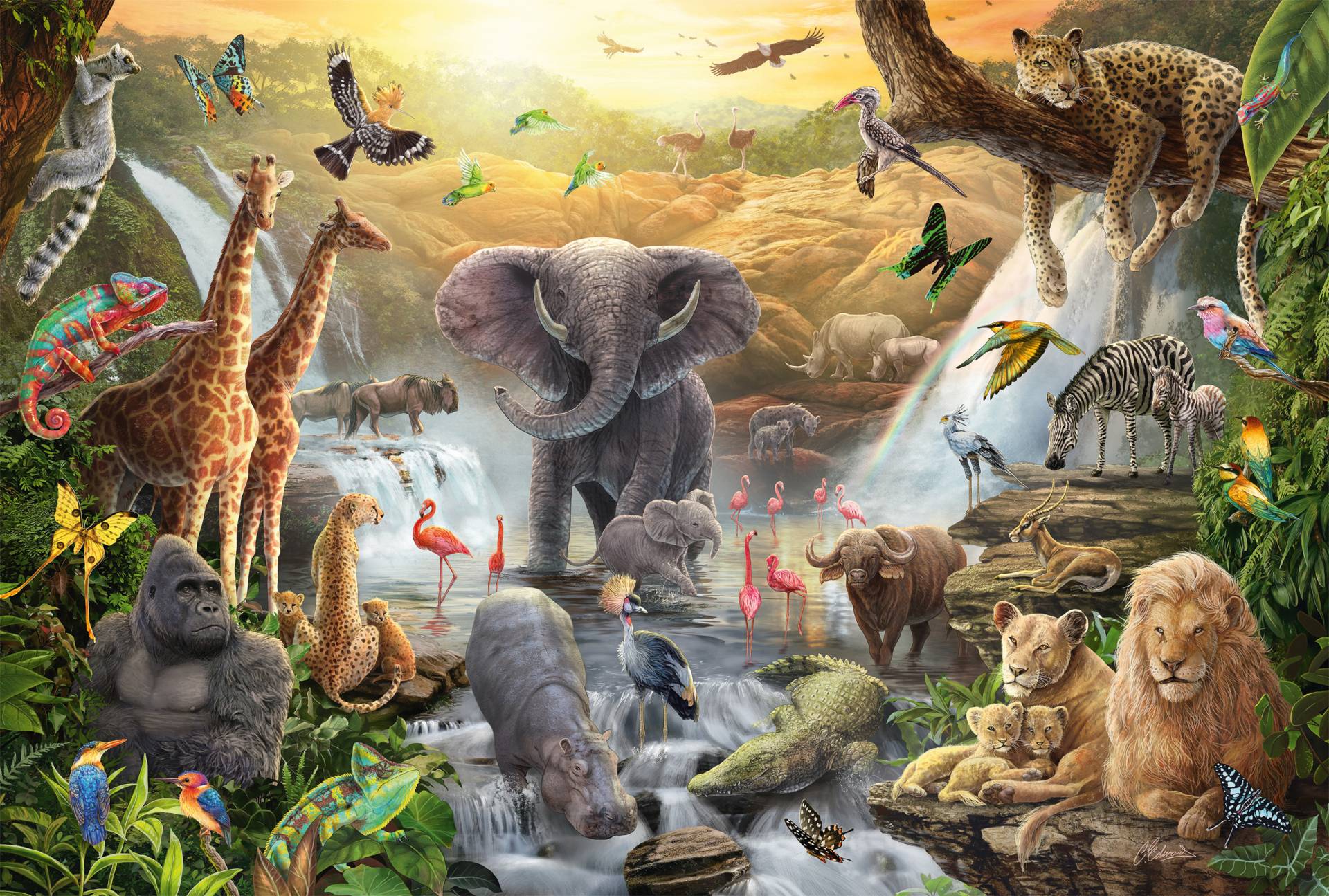 Schmidt Spiele Tiere in Afrika 60 Teile Puzzle Schmidt-Spiele-56454 von Schmidt Spiele