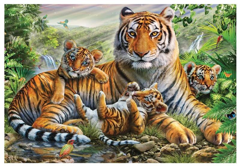 Schmidt Spiele Tiger und Welpen 1000 Teile Puzzle Schmidt-Spiele-58986 von Schmidt Spiele