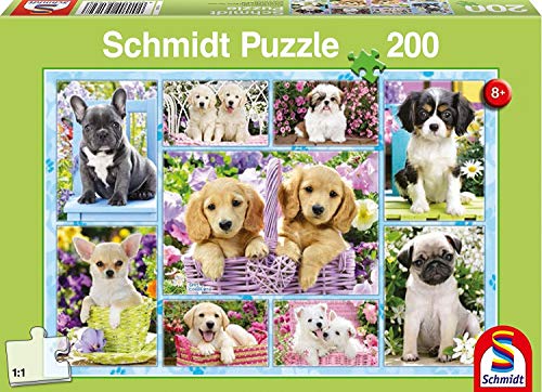 Schmidt Spiele 56162 Welpen, 200 Teile Kinderpuzzle von Schmidt