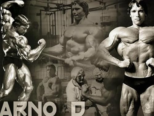 1000 Stück - Black Art White Puzzle - Schwarzeneggers Fitness Posters - Memory-Spiels Für Adults - Spielzeug Zum Stressabbau Für Die Ganze Familie Gifts - Sk322Zp 1000 Stück - Black Art White Puzzle - Schwarzeneggers Fitness Posters - Memory-Spiels Für Adults - Spielzeug Zum Stressabbau Für Die Ganze Familie Gifts - Sk322Zp von Schwagebo