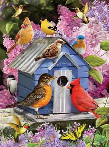 1000 Stück Puzzle，Animal Birds Posters - Puzzle Art Picture - Buntes - Lernspielzeug Für Kinder - Ältere Menschen Gedächtnis Kognitionsspiele Xs488Zp von Schwagebo