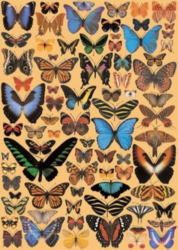 1000 Stück - Vintage Butterflys Illustrations Poster Pictures - Spaß-Kunst-Puzzle - Personalisiertes Puzzle-Spielzeug Für Erwachsene - Familien Spiele Zur Stressreduzierung - Px104Qz von Schwagebo