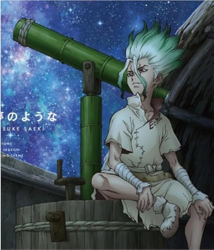 Schwagebo Jigsaw Puzzle 1000 Stück Japanese Anime Dr.Stone Poster for Fun Adult Wooden Puzzle Toy Vf15Np von Schwagebo