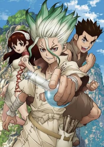 Schwagebo Jigsaw Puzzle 1000 Teile Japanese Anime Dr.Stone Poster for Fun Adult Wooden Puzzle Toy Vf18Np von Schwagebo