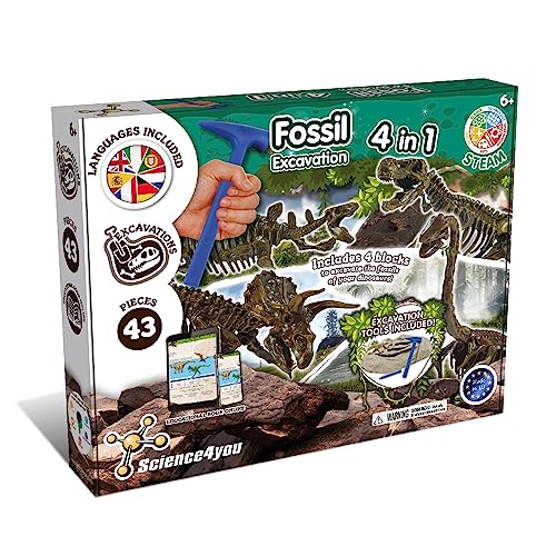 Science4you Dino Ausgrabungsset 4 in 1 für Kinder - Dino Spielzeug, 4 Dinosaurier Ausgraben - Fossilien Ausgrabungsset für Kinder ab 6+, Dinosaurier Spiel und Geschenk für Junge und Mädchen ab 5 6 7+ von Science4you