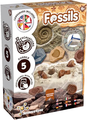 Science4you Fossilien Ausgrabungsset – Fossilien und Paläontologie mit Diesem Ausgrabungsset, Entdecken Sie die Unglaublichen Fossilien, EIN Paläontologie-Geschenk für Mädchen und Jungen 6 7 8 9+ von Science4you