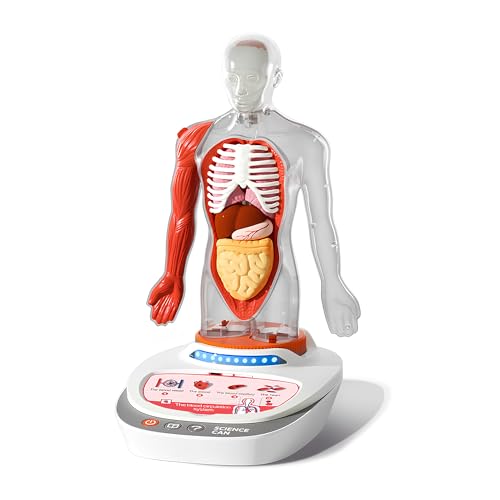 ScienceCan 3D-Modell vom menschlichen Körper - eine Wissensreise mit Quiz und Sound - ab 6 Jahre - 1600222022de0001 von ScienceCan