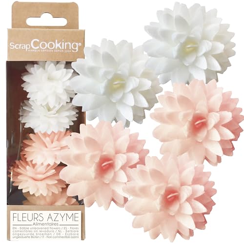 ScrapCooking – 5 Weiße & Pastellrosa Dahlien aus Esspapier – Essbare Blumen zur Tortendeko – Deko für Torten, Cupcakes, Gebäck – Geburtstag, Hochzeit – 2297 ScrapCooking – 5 Weiße & Pastellrosa Dahlien aus Esspapier – Essbare Blumen zur Tortendeko – Deko für Torten, Cupcakes, Gebäck – Geburtstag, Hochzeit – 2297 von ScrapCooking