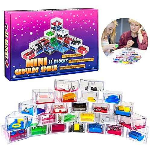 Mini Geduldsspiele Mega-Set, 24 Stück 3D Geduldsspiele Knobelspiel, Denkspiel Knobelspiel, Geduldsspiele Mini Denkspiel, Geduldsspiel, Kugelspiel Geschicklichkeitsspiele für Kinder Erwachsene von Seasboes