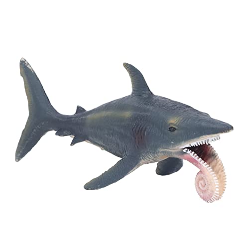 Simulationshai-Modell, lebensechtes, lebendiges pädagogisches Helicoprion-Modellspielzeug, Meerestierspielzeug, für über 3 Jahre alt, mit einzigartigem Aussehen von Segrehy