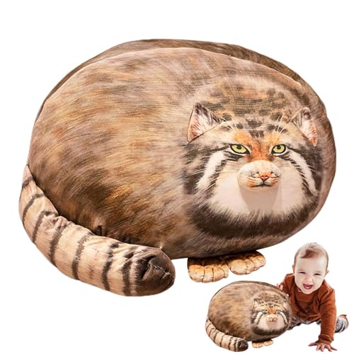 Sghtil Niedliches Pallas Cat Plush Toy, Pallas Cat Body Pillow - 3D Soft Simuled Cat Doll - Umarmend Plüschbegleiter, Sofa -Kissendekoration für Kinder, Zuhause, Feiertage von Sghtil