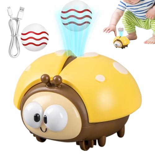 Shaersu Elektrisch Schweben Ball Für Kinder | Marienkäfer Lernspielzeug | Pädagogisches USB-Aufladbares Lernspiel Für Kinderzimmer Vorschule Geburtstag Reise Unterricht Nachhilfe Shaersu Elektrisch Schweben Ball Für Kinder | Marienkäfer Lernspielzeug | Pädagogisches USB-Aufladbares Lernspiel Für Kinderzimmer Vorschule Geburtstag Reise Unterricht Nachhilfe von Shaersu