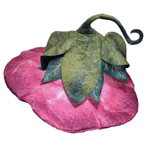 Shaersu Hexenhut,Hexen Hut Für Halloween Kostüm - Festliche Accessoires Kreative Cosplay Requisiten Für Feste Events Partys Gesellschaftsspiele Festival Deko Bühnenauftritte Shaersu Hexenhut,Hexen Hut Für Halloween Kostüm - Festliche Accessoires Kreative Cosplay Requisiten Für Feste Events Partys Gesellschaftsspiele Festival Deko Bühnenauftritte von Shaersu