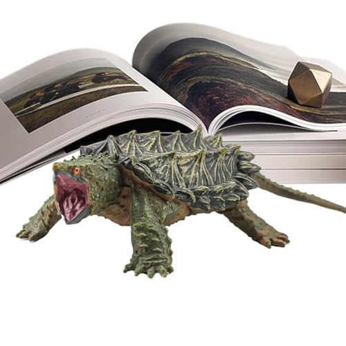 Shenrongtong Schildkrötenfigur, Schnappschildkrötenfigur,Simuliertes Schnappschildkrötenmodell Ornament | Früheres Lernen pädagogisches Spielzeug, Tiersammlung, Kindergunst für Bücherregaler von Shenrongtong