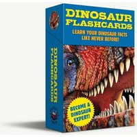 Dinosaur Flashcards von Simon & Schuster N.Y.