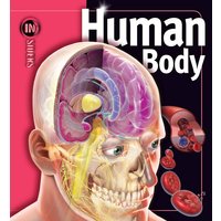 Human Body von Simon & Schuster USA