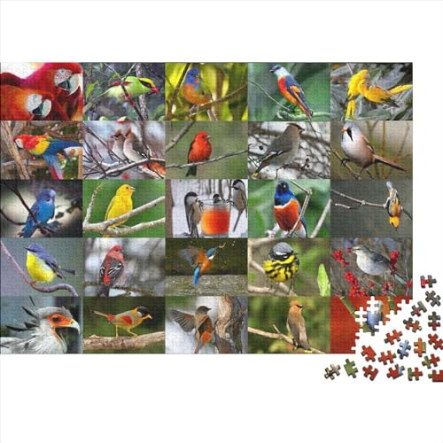 Vögel 1000 Teilefür Erwachsene TeensImpossible Puzzle Vögel Für Die Ganze Familie Home Dekoration Puzzle Einzigartiges Geschenk Holzspielzeug 1000pcs (75x50cm) von SkyClouf