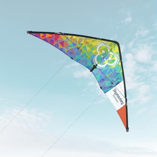 Skymonkey Fastrider Lenkdrachen für Jugendliche und Erwachsene, 2-Leiner Lenkdrache, Spannweite: 127cm - Rainbow von Skymonkey