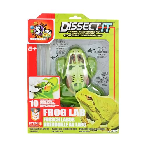 Original SLIMY Lab Dissect-IT Frosch - Experimentieren & Forschen Sezier-Set - Schleim Labor, prämiertes STEM/Mint Lernspielzeug, Slime-Set mit Spielknete und Sezierwerkzeug von Slimy