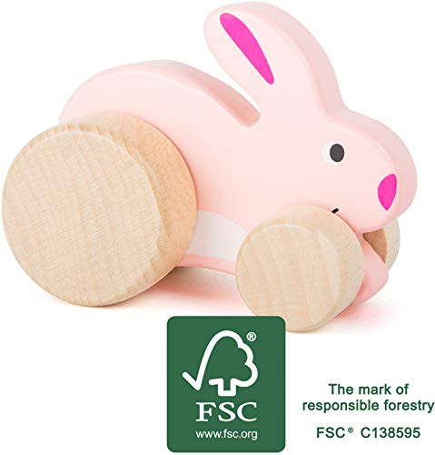 small foot 11047 Schiebetier Hase, aus 100% FSC®-zertifiziertem Holz, fördert die Fantasie und Kreativität, ab 12 Monate von Small Foot