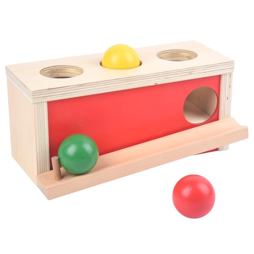 Smartwo Montessori Spielzeug ab 1 Jahr, Baby Holzspielzeug ab 9 Monate, Objektpermanenz Box für Baby 12-18 Monate, Motorikspielzeug für frühe Entwicklung, Geschenk für Mädchen & Jungen von Smartwo