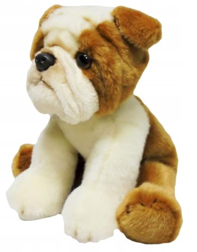 Kuscheltier Kuscheltier Kuscheltier Hund Bulldogge 30cm Smily Play von Smily Play