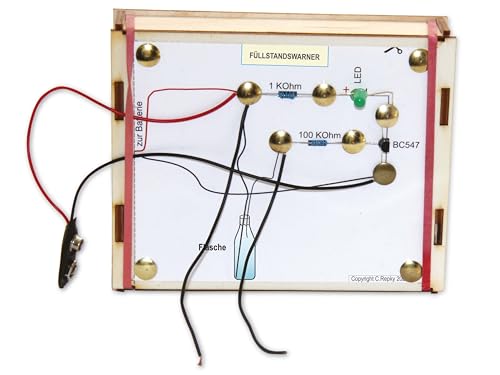 Sol Expert Reißzweckenbausatz Funny Electronic 50600 Bausatz ab 10 Jahre von Sol Expert