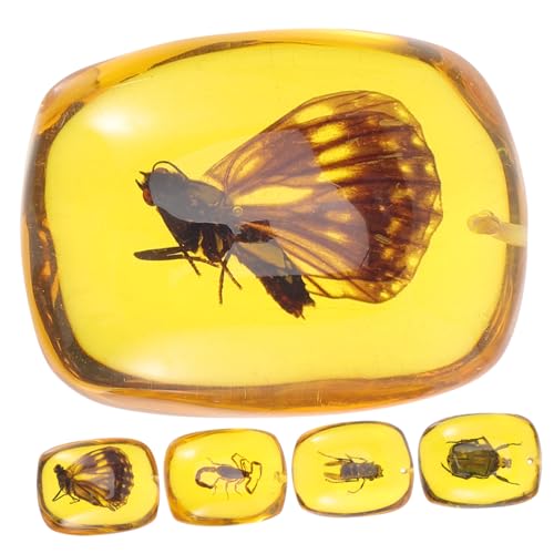 Sosoport 5 Stück Teiliges Insekten spezimen Anhänger aus Hochwertigem Resin Vorgebohrt für DIY Schmuckherstellung Einzigartiger Natürlicher Bernstein look als Ohrring Schmuckornament Sosoport 5 Stück Teiliges Insekten spezimen Anhänger aus Hochwertigem Resin Vorgebohrt für DIY Schmuckherstellung Einzigartiger Natürlicher Bernstein look als Ohrring Schmuckornament von Sosoport
