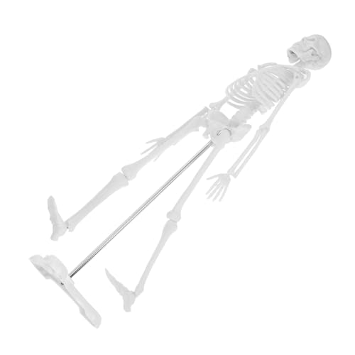 Sosoport Human Skeleton Modell Anatomisch Detailliertes Lernmodell für Schüler und Medizinische Ausbildung Realistische Knochenstruktur Leicht zu Reinigen Langlebig Sosoport Human Skeleton Modell Anatomisch Detailliertes Lernmodell für Schüler und Medizinische Ausbildung Realistische Knochenstruktur Leicht zu Reinigen Langlebig von Sosoport