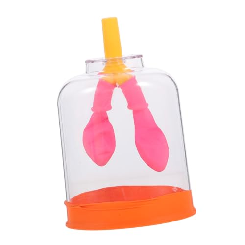 Sosoport Lungenatmungsmodell Wissenschaftliches Experimentiergerät Menschliches Organ Lehrmodell Bewegliches Simulation Tragbar für Bildungszwecke und Analyse Zufällige Zufällige Farbe Sosoport Lungenatmungsmodell Wissenschaftliches Experimentiergerät Menschliches Organ Lehrmodell Bewegliches Simulation Tragbar für Bildungszwecke und Analyse Zufällige Zufällige Farbe von Sosoport