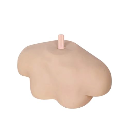 Sosoport Schulter Modell Display Modell Unterstützt Lehrmodell mit Glatter Oberfläche und Stabiler Konstruktion Geeignet für Ärzte Pflegepersonal und Studenten zur Demonstration und Übung Sosoport Schulter Modell Display Modell Unterstützt Lehrmodell mit Glatter Oberfläche und Stabiler Konstruktion Geeignet für Ärzte Pflegepersonal und Studenten zur Demonstration und Übung von Sosoport