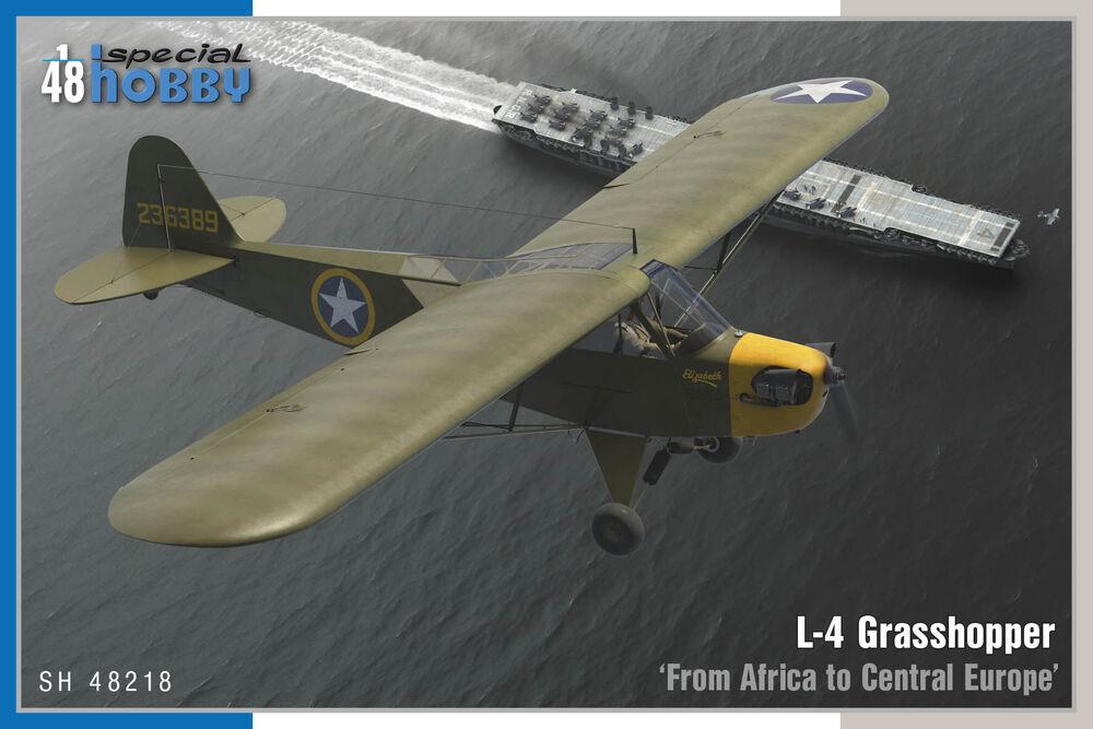 L-4 Grasshopper From Africa to Central Europe von Special Hobby