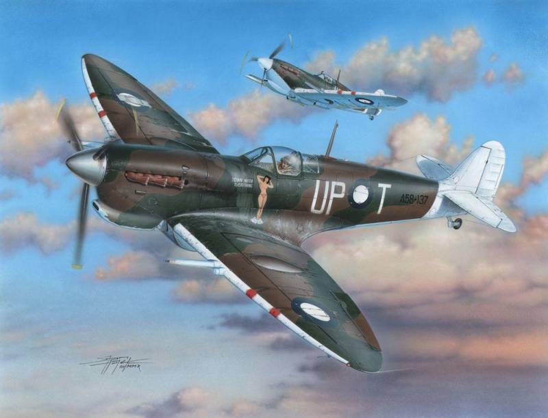 Spitfire Mk.VC RAAF Service von Special Hobby