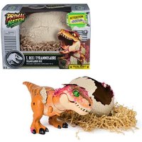 Primal Hatch, Jurassic World, Interaktiver T-Rex im Ei, 100+ Soundeffekte und Reaktionen Primal Hatch, Jurassic World, Interaktiver T-Rex im Ei, 100+ Soundeffekte und Reaktionen von Spin Master