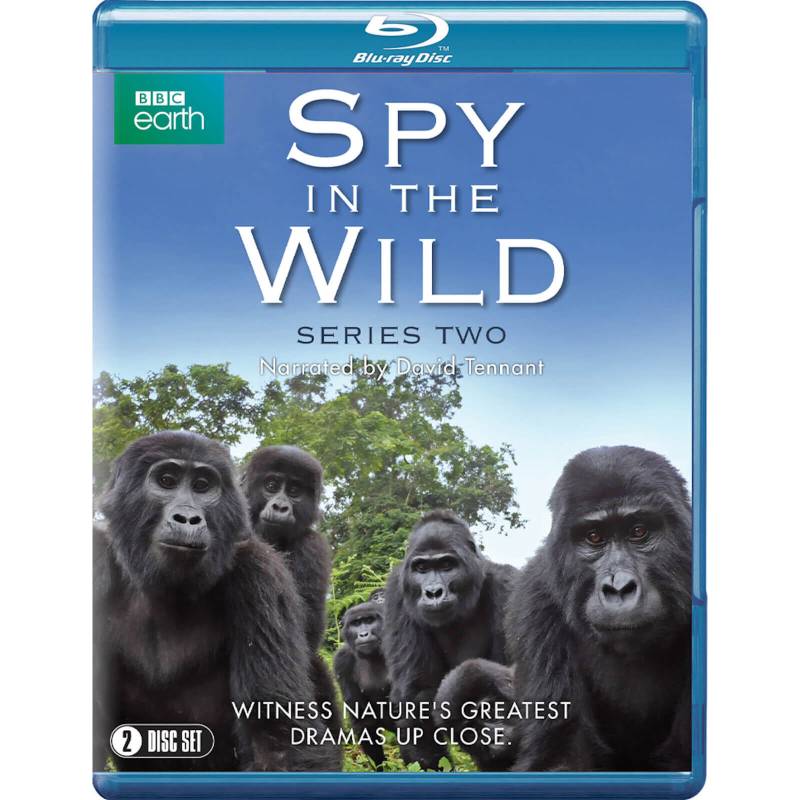 Spion in freier Wildbahn: Serie 2 von Spirit Entertainment