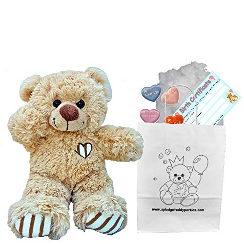 Brauner Kuschelbär, weiches Plüsch-Spielzeug, Größe: 25 cm, Teddybären zum Selbermachen - Bärenbausatz - kein Nähen von Splodge Teddy Parties