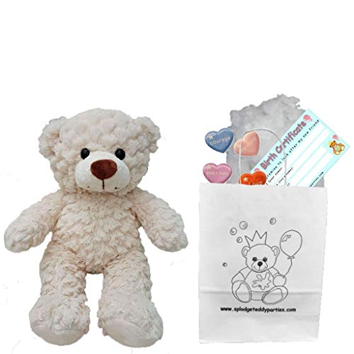 Cremefarbener Teddybär, weiches Plüsch-Spielzeug, 25 cm, zum Selberbauen, Party-Set von Splodge Teddy Parties