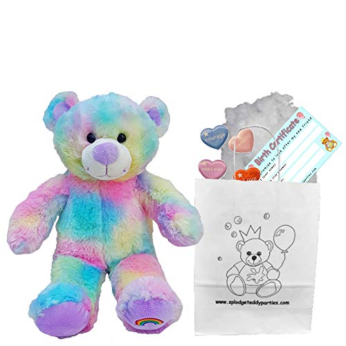 Regenbogen-Teddybär - Teddybären zum Selbermachen – Teddygröße: 25cm – Bauen Sie Ihren eigenen Teddybär - ohne Nähen von Splodge Teddy Parties