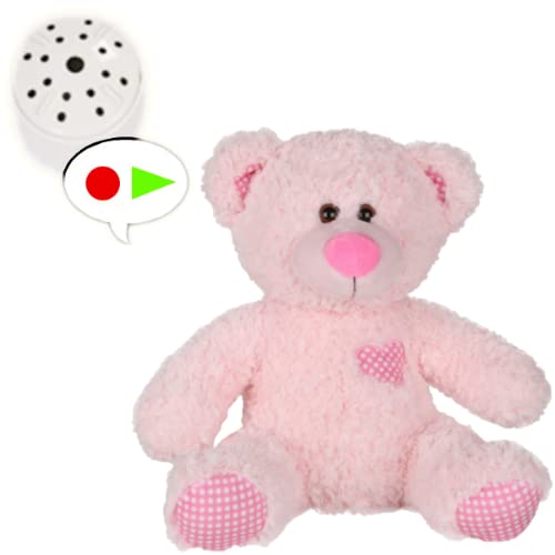 Pinker klassischer Teddybär mit 60 Sekunden Sprachaufzeichnung, 25 cm von Splodge Teddy Parties