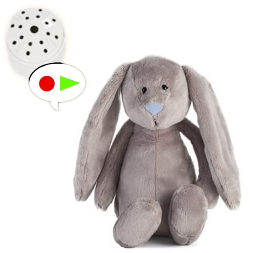 Plüschtier mit Hasenmotiv, Grau, 25 cm, für 20 Sekunden von Splodge Teddy Parties