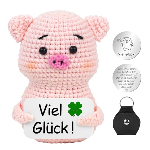 Pocket Hug Glücksschweinchen, Positive Geschenke Schweinchen, Kreative Strickwolle Minischwein Puppe mit Silber Glücksbringer, Positive Kartoffel Ersatz, Gestrickte Mutmacher Besserung Geschenk A21-6 von Sprinlot