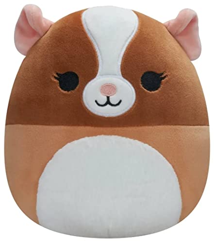 Squishmallow Garret The Guinea Pig 19,1 cm von Squishmallows