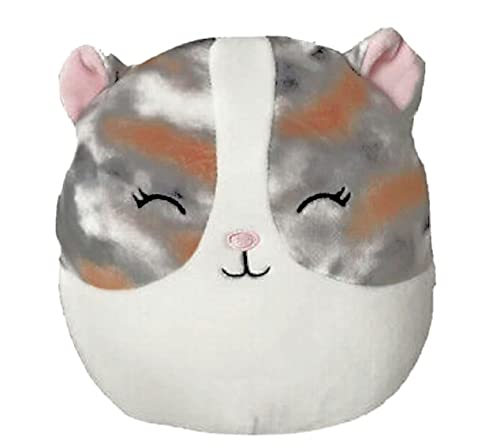 Squishmallow Pax The Hamster 7.5in von Squishmallows