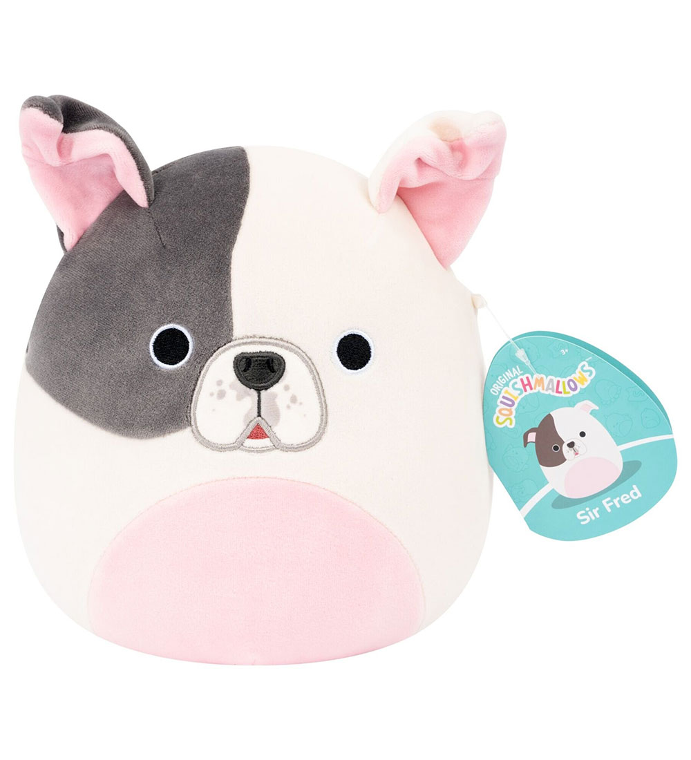 Squishmallows Kuscheltier - 19 cm - Sir Fred Pitbull - Squishmallows - One Size - Kuscheltiere Squishmallows Kuscheltier - 19 cm - Sir Fred Pitbull - Squishmallows - One Size - Kuscheltiere von Squishmallows