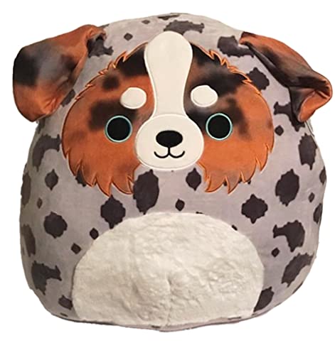 Squishmallows Official Kellytoy Raylor The Australian Dog Stuffed Plush Toy Animal 20 Inches von Squishmallows