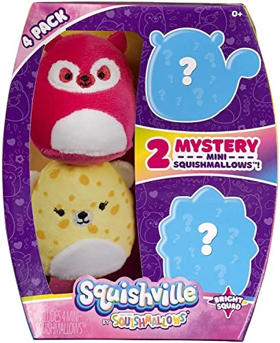 Squishville by Squishmallows ENT_551113 Kino-Spielset, inklusive 5 cm Mini-Brezel, einem Popcorn-Eimer, unwiderstehlich weicher, bunter Plüsch, Mehrfarbig Squishville by Squishmallows ENT_551113 Kino-Spielset, inklusive 5 cm Mini-Brezel, einem Popcorn-Eimer, unwiderstehlich weicher, bunter Plüsch, Mehrfarbig von Squishmallows