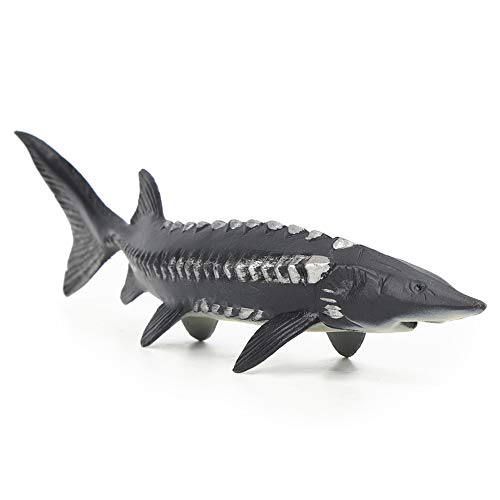 Fischmodell, Lebensechte Künstliche Gefälschte Fische Modell Marine Stör Fisch Modell Figur Ornamente Kinder Rollenspiel Prop (M-1528 Chinesischer Stör) von Srliya