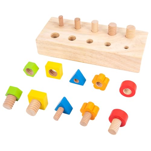 Ssguopte Holzschraubenspielzeug für Kinder 3+, sichere sensorische Spielzeuge, Bildungsfarbform Sortierer, Vorschulklassenzimmer Must Haves for Boys Girls Geschenk von Ssguopte