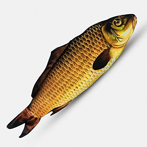 Appearing Fish (28 cm) - Stage Magic Tricks von Stage Magic Tricks